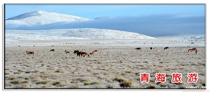 青海旅游
