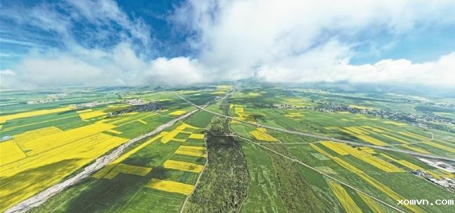 【坚定信心 实干争先】文旅花开满高原 且以诗意共远方 ——“青海经济年中观察”系列报道之三