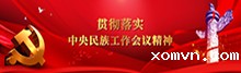 贯彻落实中央民族工作会议精神