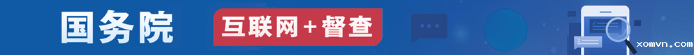国务院 互联网+督察